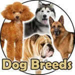 dog breeds 🐶 golden retriever | rottweiler android application logo